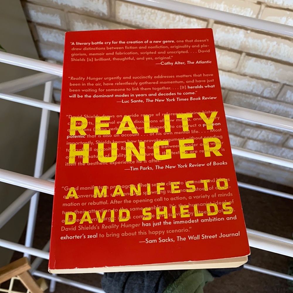 Reality hunger book by David Shields